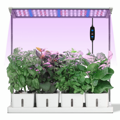 Hydroponic Anzuchtsystem Indoor, 20 Hülsen Smart Garden Kräutergarten Set mit automatischem Timer 34W LED Pflanzenlampe, 4 abnehmbare Wassertanks, 68 cm höhenverstellbar